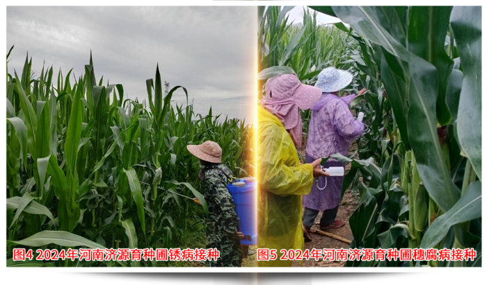 1747638848724108.png 圖片44.png